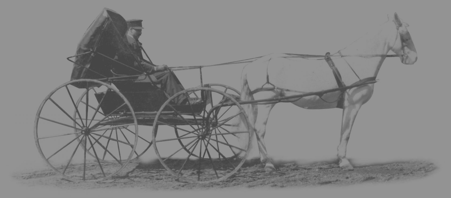 Dowd Horse and Buggy Graphic