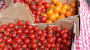 Small tomatoes in cardboard boxes