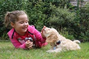 Girl playing with dog in grass