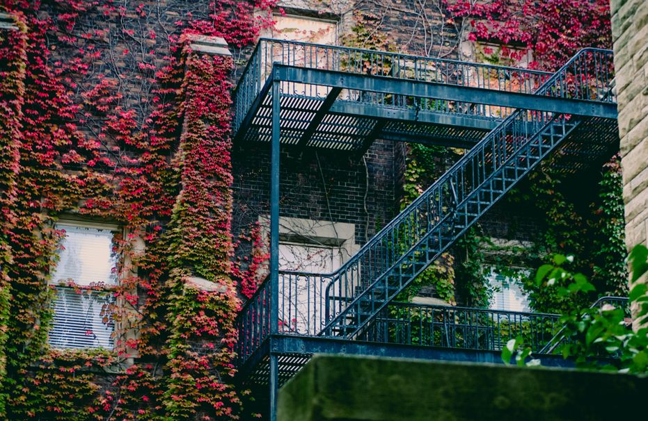 fire escapes on an apartment building