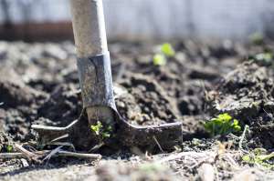 Dig safe Homeowners Insurance