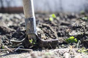 Shovel digging into the ground