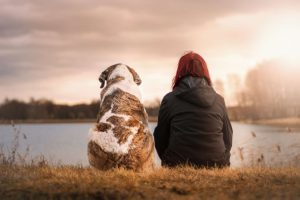 person and dog sitting together next to lake