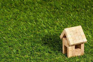 Small wooden home on green grass